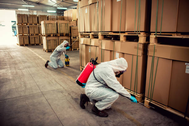 Best Cockroach Control Services  in Faxon, PA