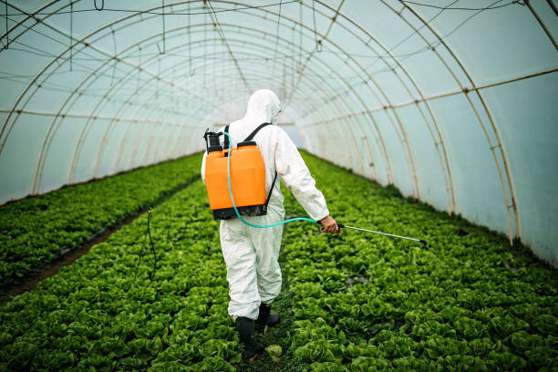 Best Commercial Pest Control Services  in Faxon, PA