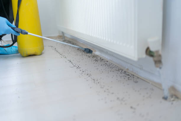 Best Pest Control Treatment  in Faxon, PA