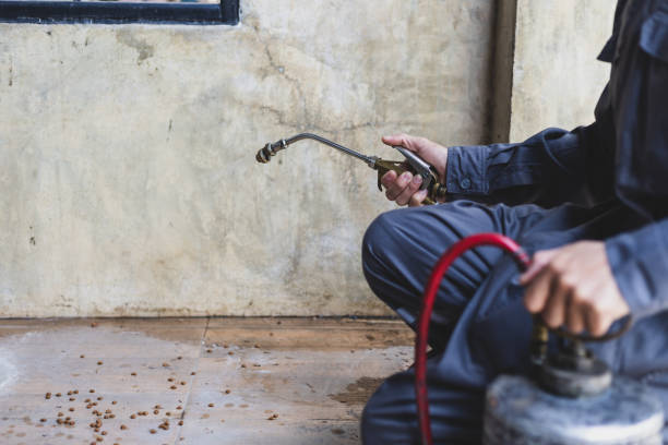 Best Best Pest Control Companies  in Faxon, PA